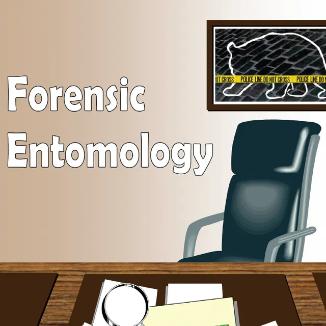 thumbnail for publication: Forensic Entomology